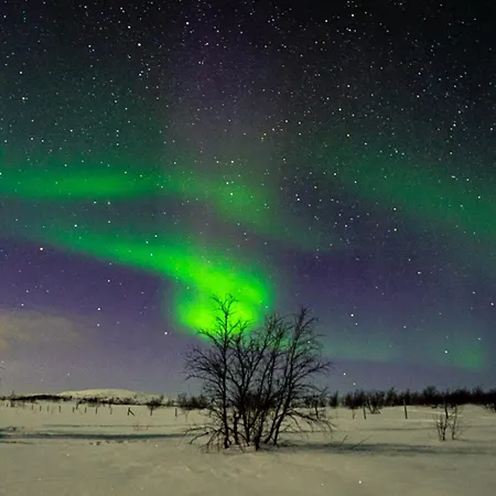 Aurora Sled * Karasjok